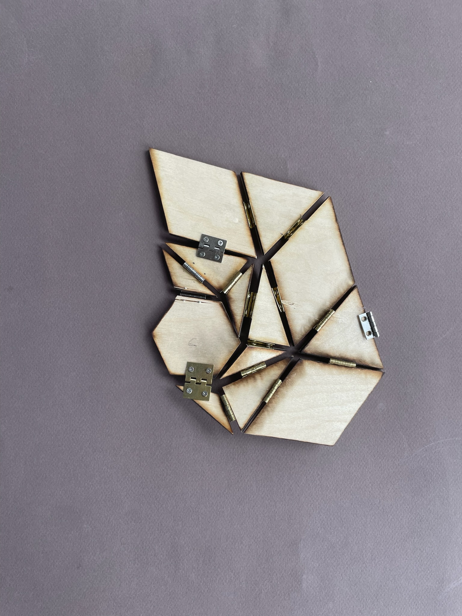 Rigid Folding Origami